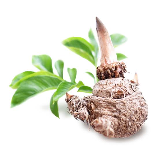 Glucomannan: Your Konjac Root Ally for Weight Management